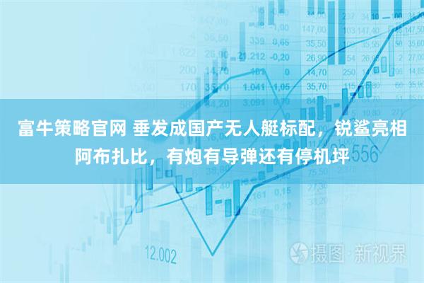 富牛策略官网 垂发成国产无人艇标配，锐鲨亮相阿布扎比，有炮有导弹还有停机坪